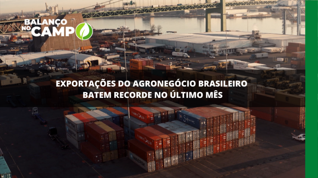 Exportações do agronegócio brasileiro batem recorde no último mês