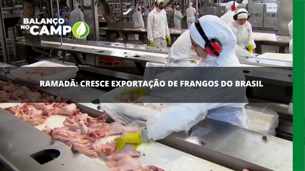 Com o Ramadã, cresce a exportação de carne de frango do Brasil