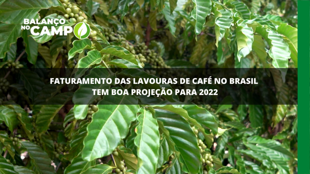 Faturamento dos café no Brasil foi estimado em mais de R$ 70 bilhões