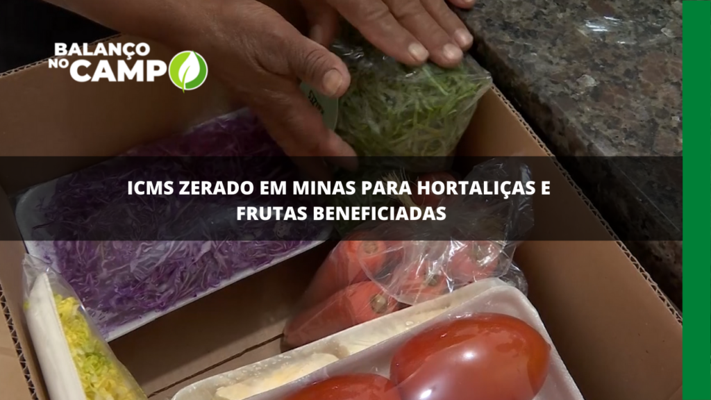 Minas Gerais: ICMS zerado para hortaliças e frutas beneficiadas