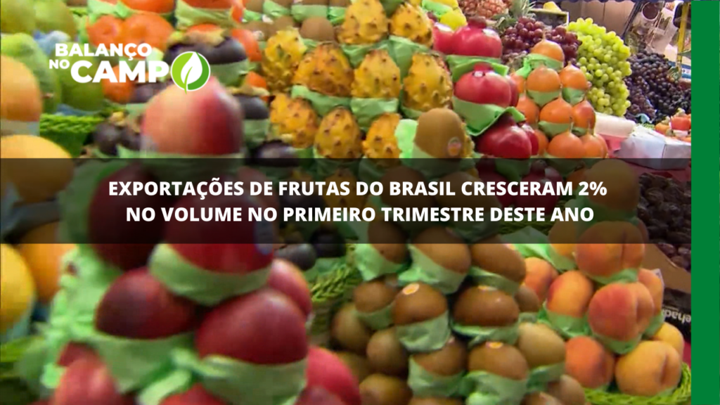 Crescem exportações de frutas do Brasil
