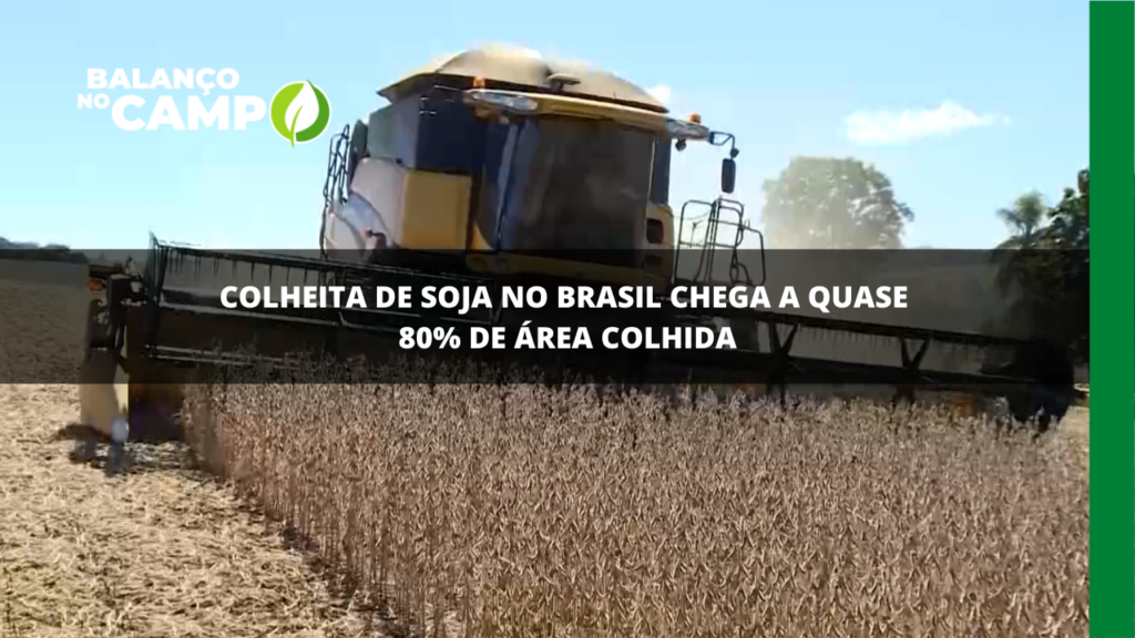 Colheita de soja no Brasil chega a quase 80%