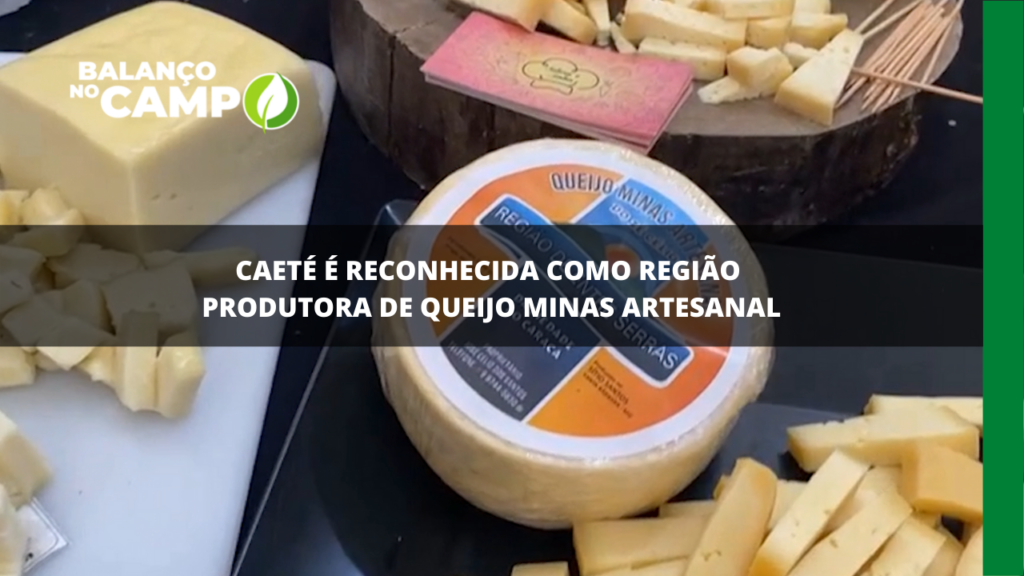 Caeté é reconhecida como produtora de queijo minas artesanal