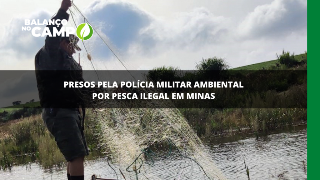 Polícia Militar Ambiental faz operação no Sul de Minas no combate à pesca ilegal
