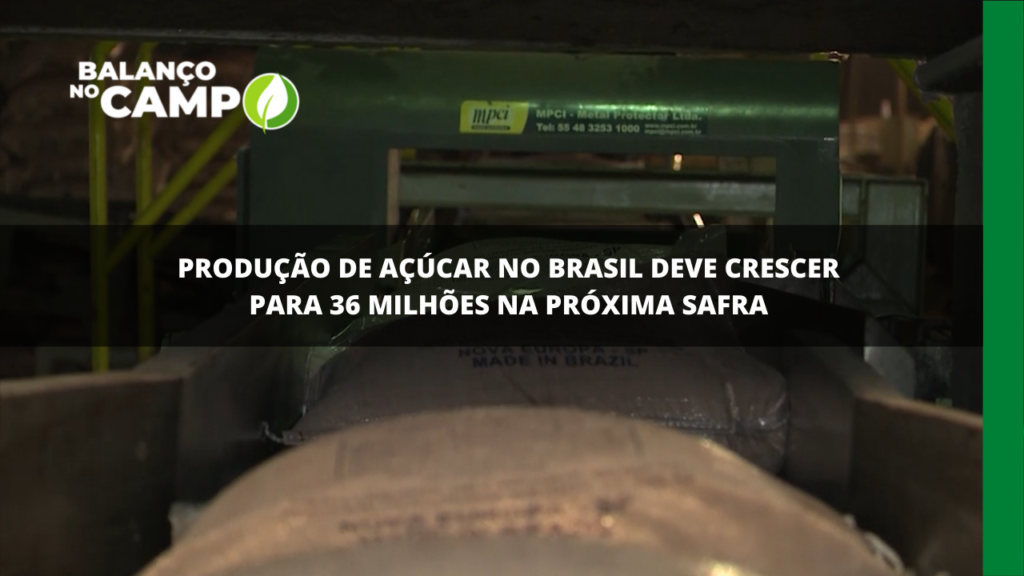 Produção de açúcar do Brasil deve crescer para a próxima safra