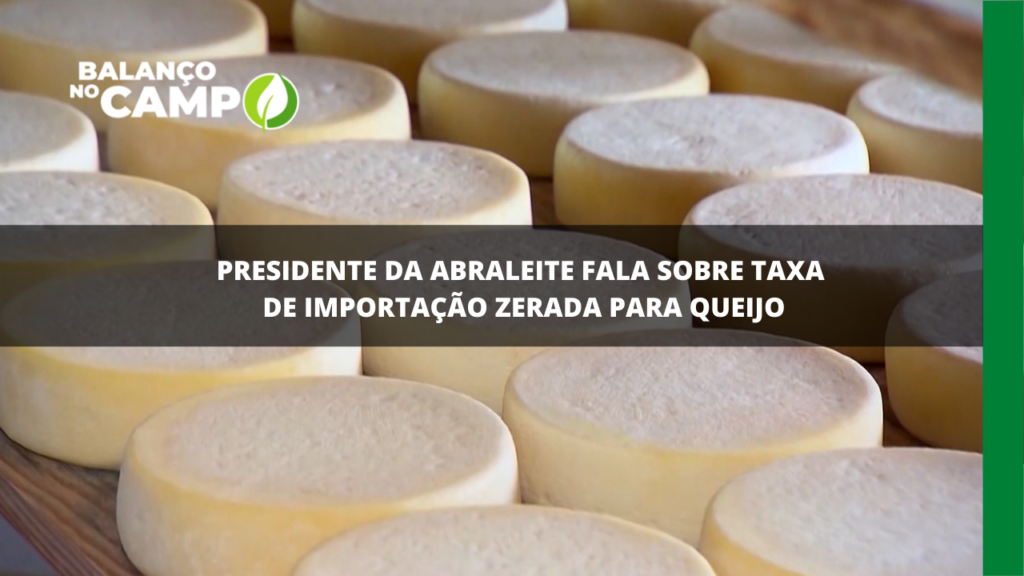 Presidente da Abraleite fala sobre taxa de importação zerada para queijo