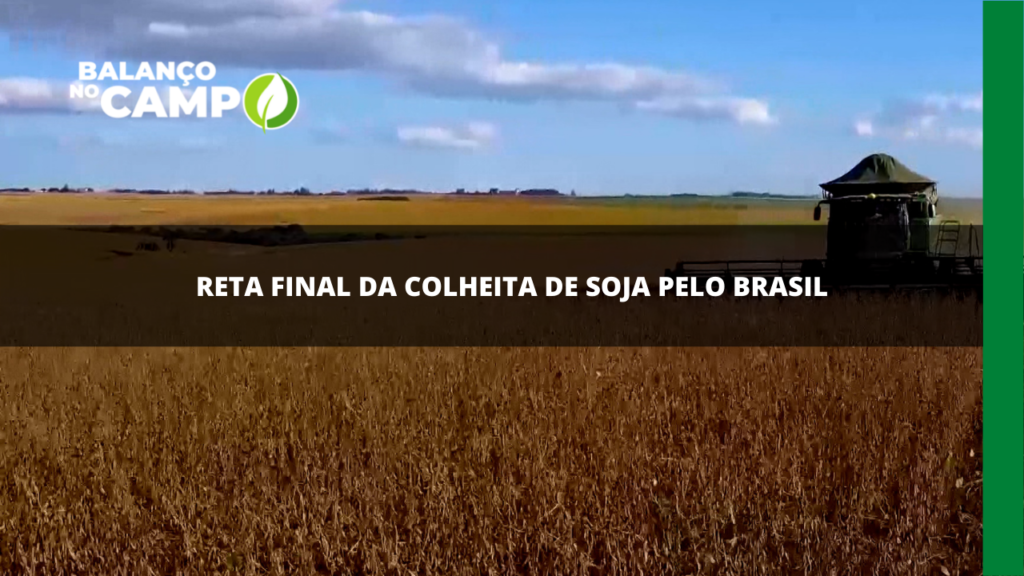 Brasil segue para a reta final da colheita de soja em todo o país