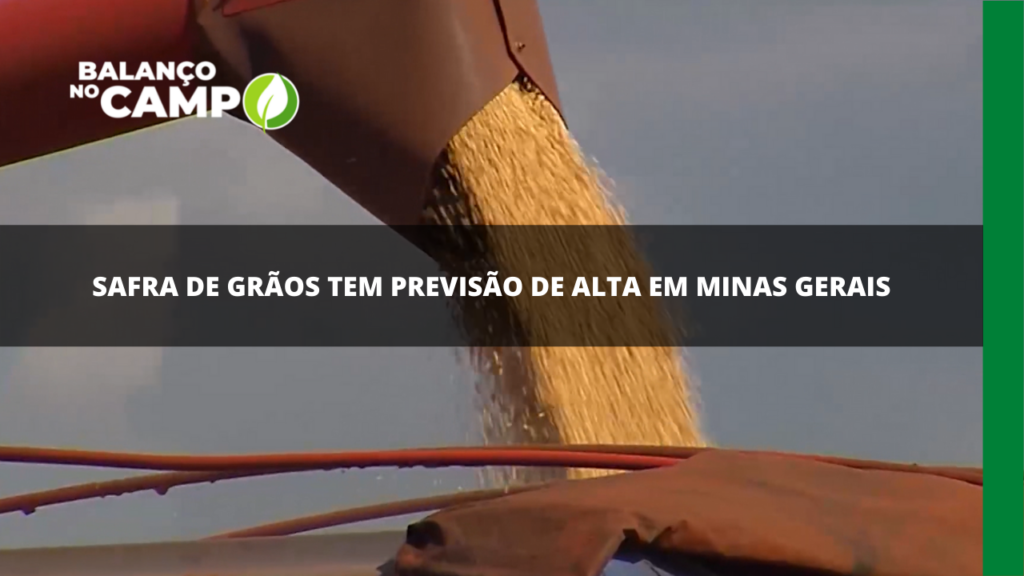 Safra de grãos em Minas Gerais tem previsão de volume recorde
