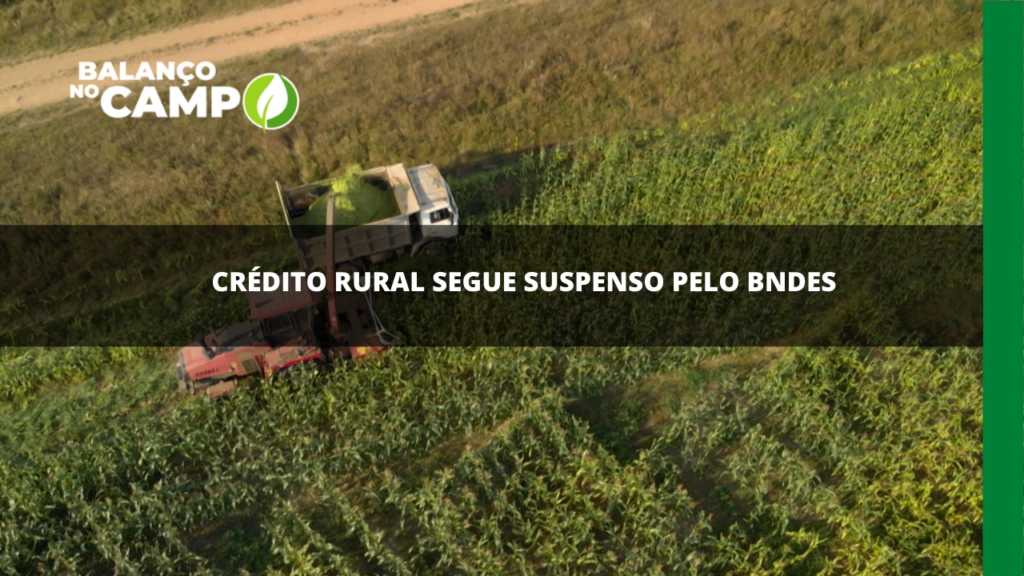 Contratação de crédito rural seguem suspensas pelo BNDES