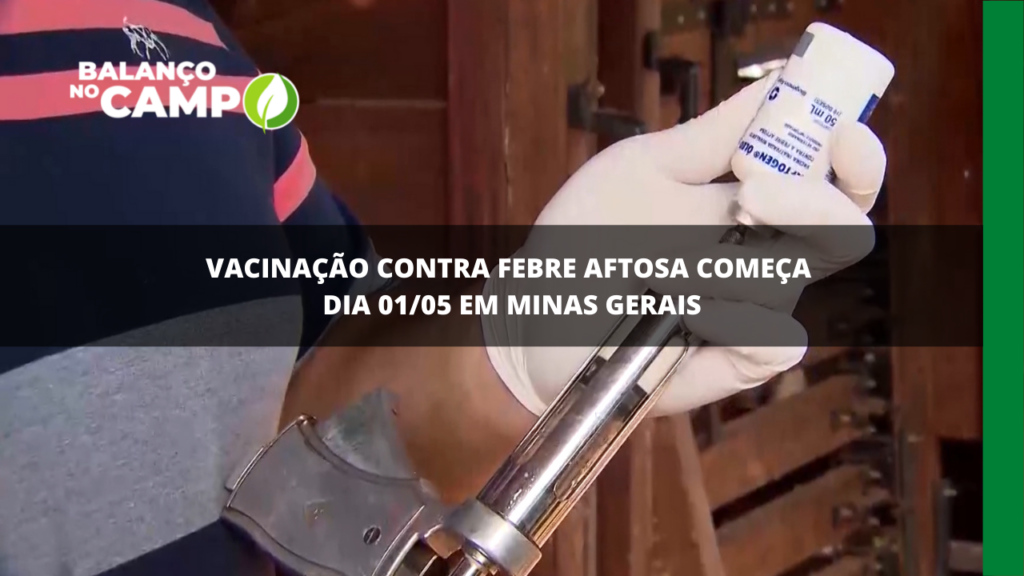 Vacinação contra febre aftosa começa em Minas Gerais