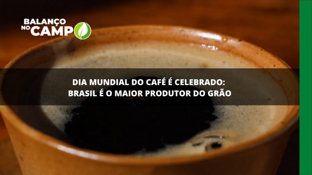 Dia Mundial do Café é comemorado dia 14 de abril