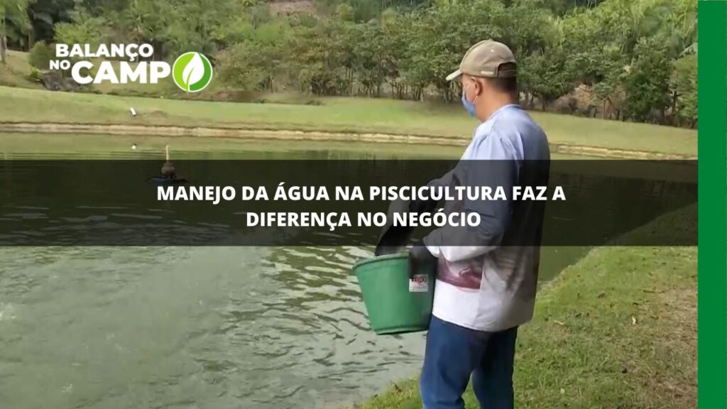 Produção de peixes exige manejo correto da água.