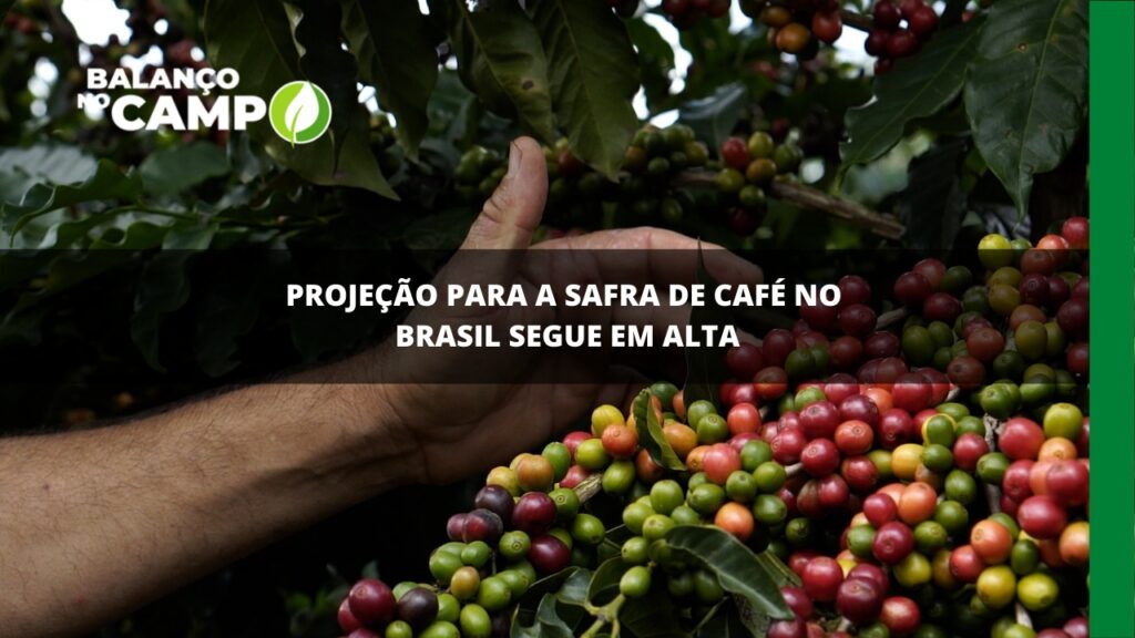 Projeção para a safra de café no Brasil segue em alta.