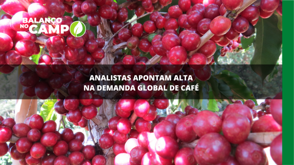 Analistas apontam alta na demanda global de café