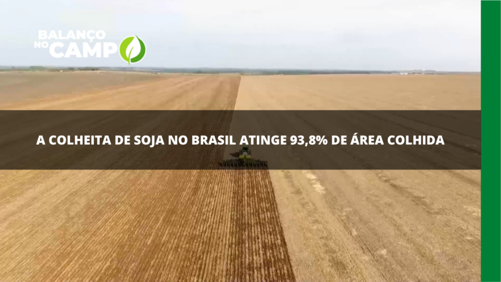 Colheita de soja no Brasil atinge quase 94% de área colhida