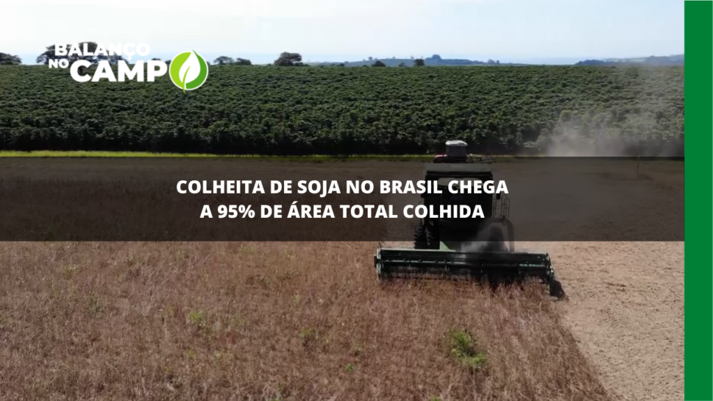 Colheita de soja no Brasil chega a 95% de área total colhida.