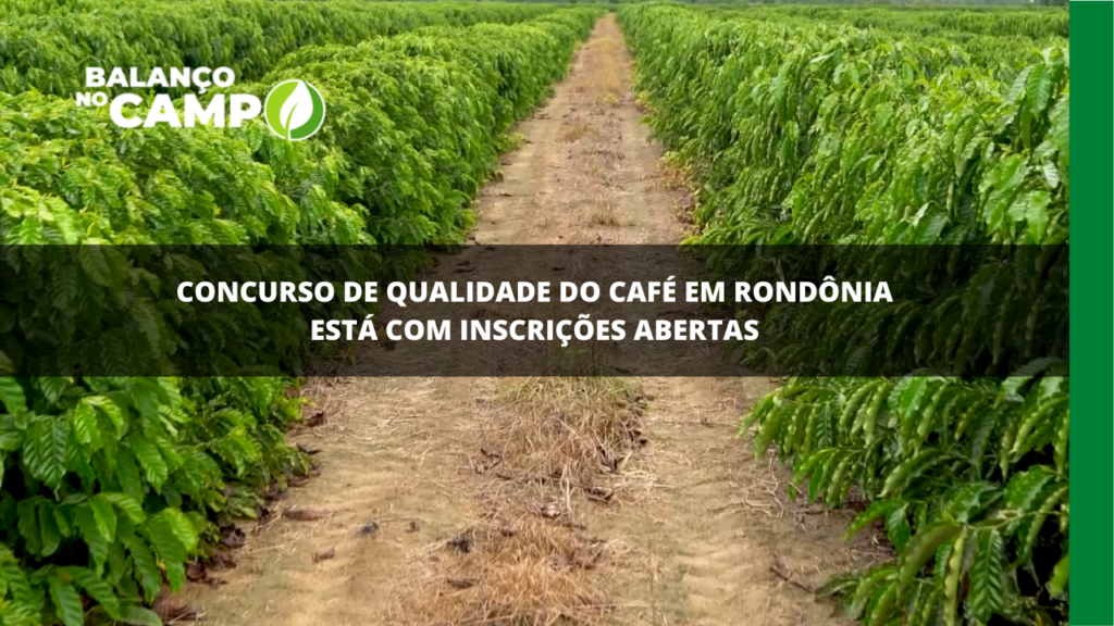 Concurso de qualidade do café em Rondônia está com inscrições abertas.