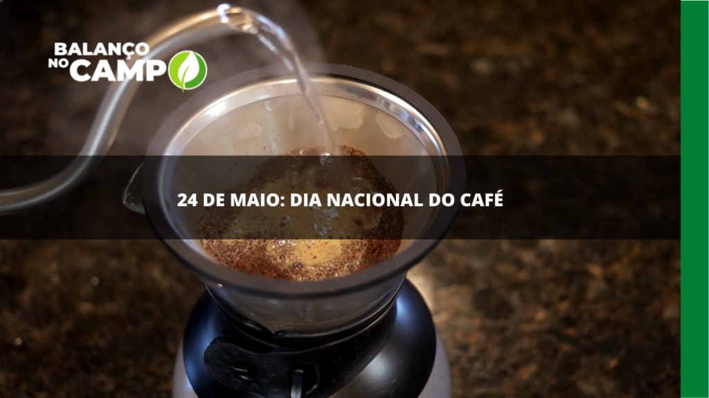 24 de maio é o Dia Nacional do Café