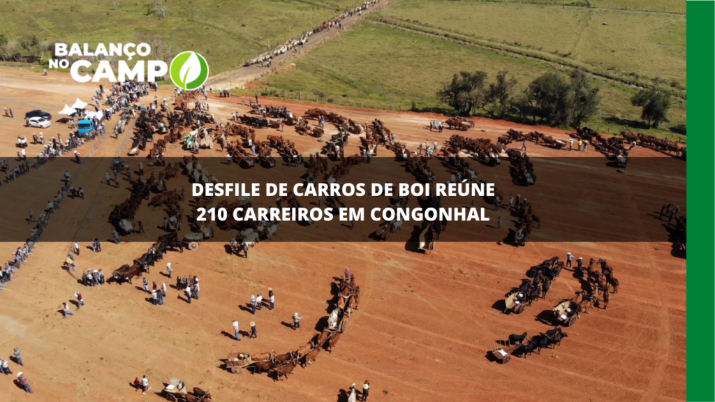 Desfile de carros de boi reúne 210 carreiros em Congonhal