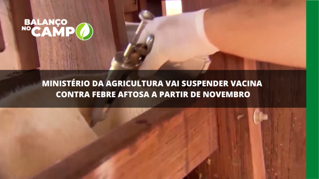 Ministério da Agricultura vai suspender vacina contra febre aftosa a partir de novembro.