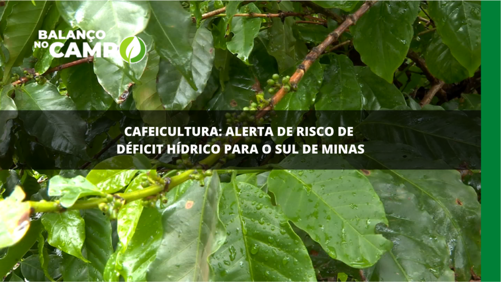 Cafeicultura: alerta de risco de déficit hídrico para Sul de Minas