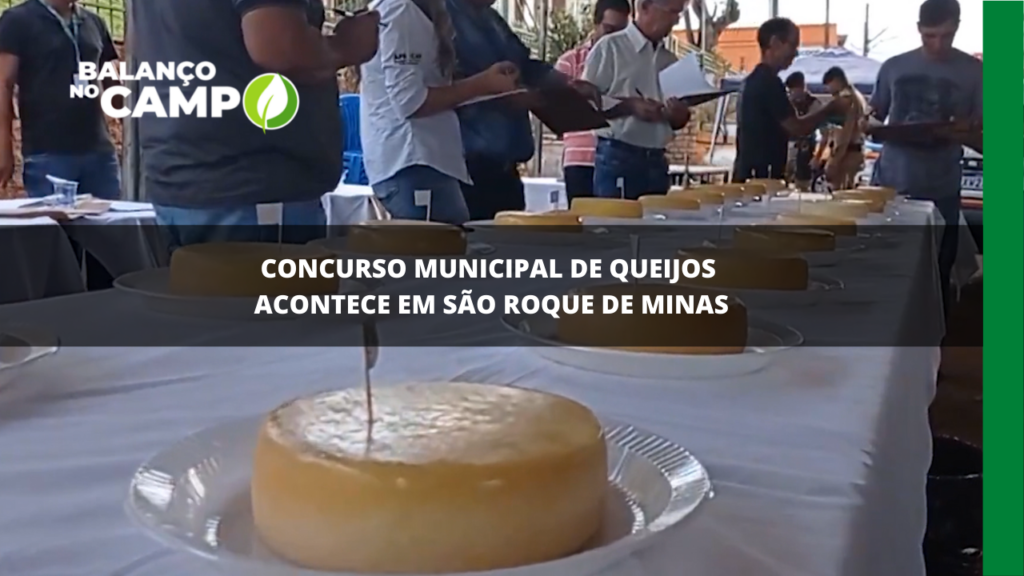 Concurso de queijos movimenta São Roque de Minas