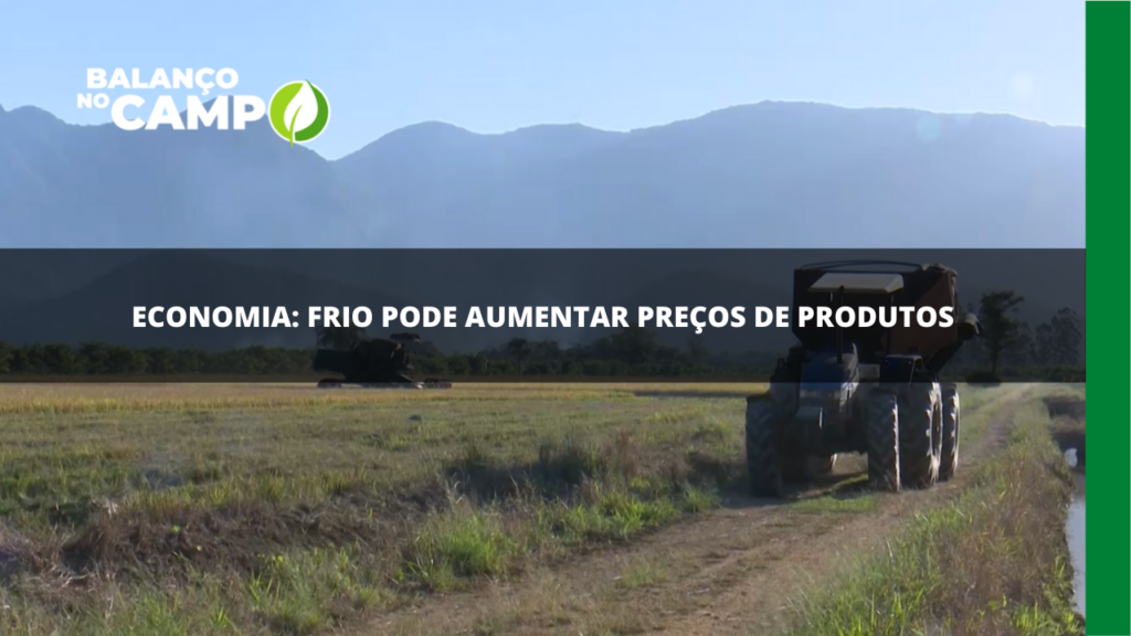 Economia: frio pode aumentar preços de produtos