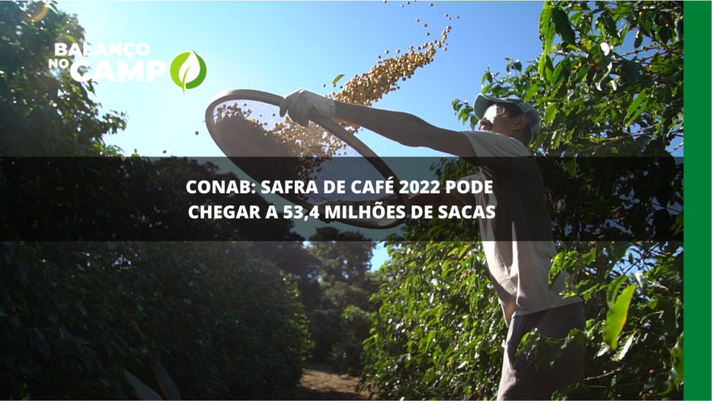 Segundo Conab, safra de café 2022 pode chegar a 53,4 milhões de sacas