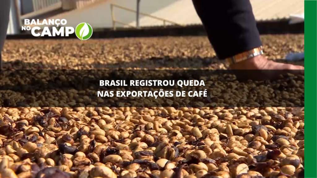 Brasil registrou queda nas exportações de café.