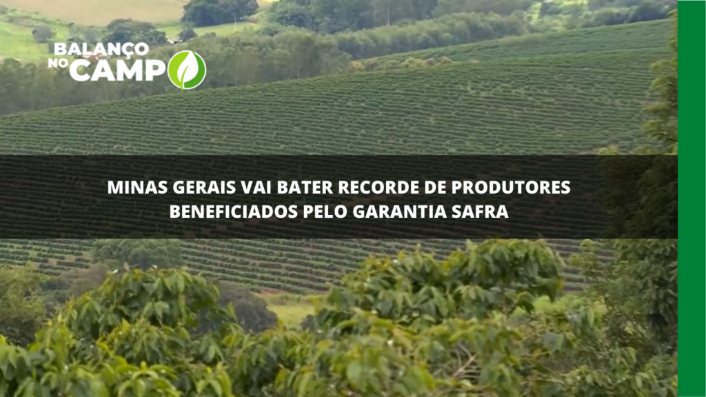 Minas Gerais vai bater recorde de produtores beneficiados pelo Garantia Safra