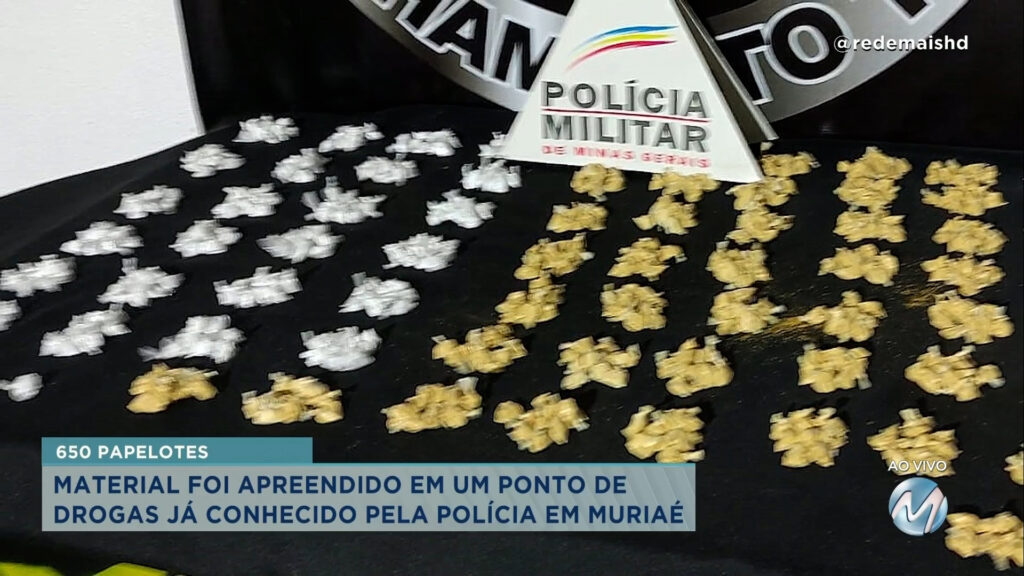 Polícia apreende 650 papelotes de cocaína após denúncias em Muriaé