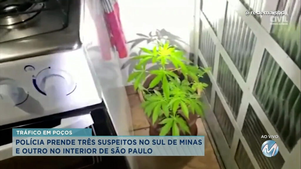 Tráfico de drogas: 3 pessoas presas no Sul de MG e outro no interior de São Paulo