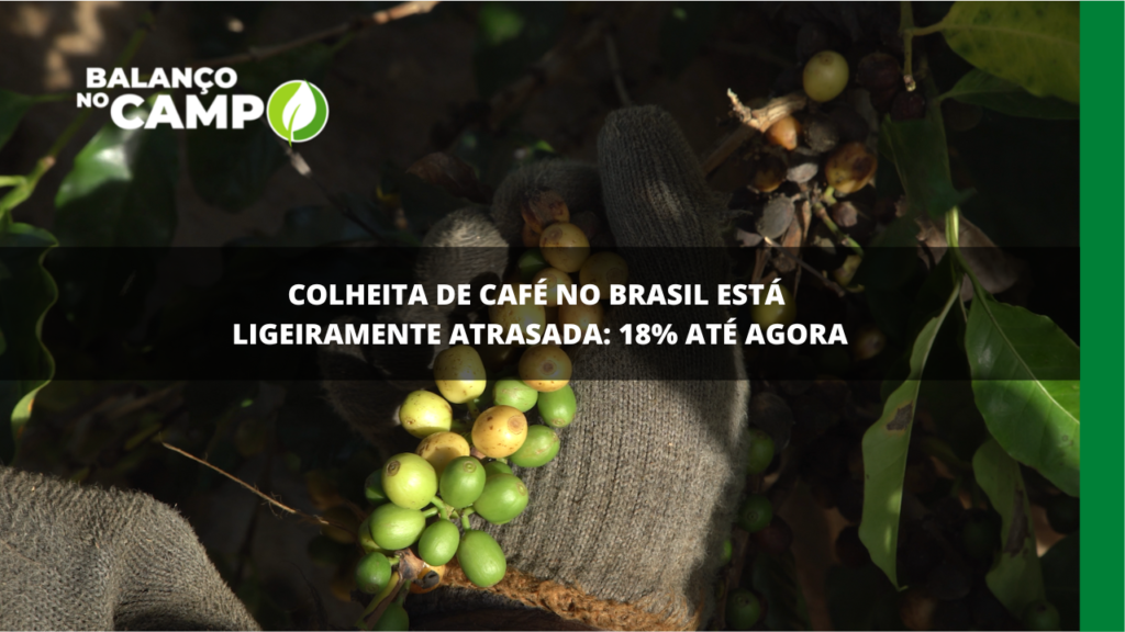 Colheita de café no Brasil atinge 18% no fim de maio