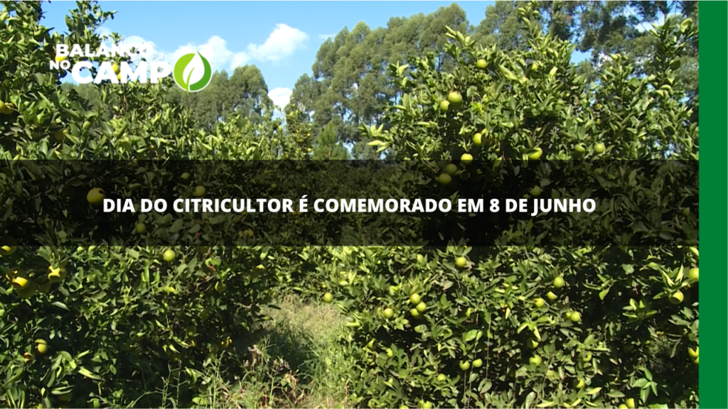 Dia do Citricultor é celebrado em 8 de junho