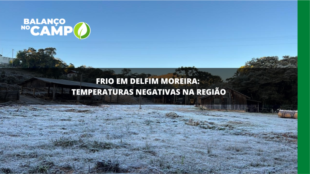 Frio em Delfim Moreira: temperaturas negativas