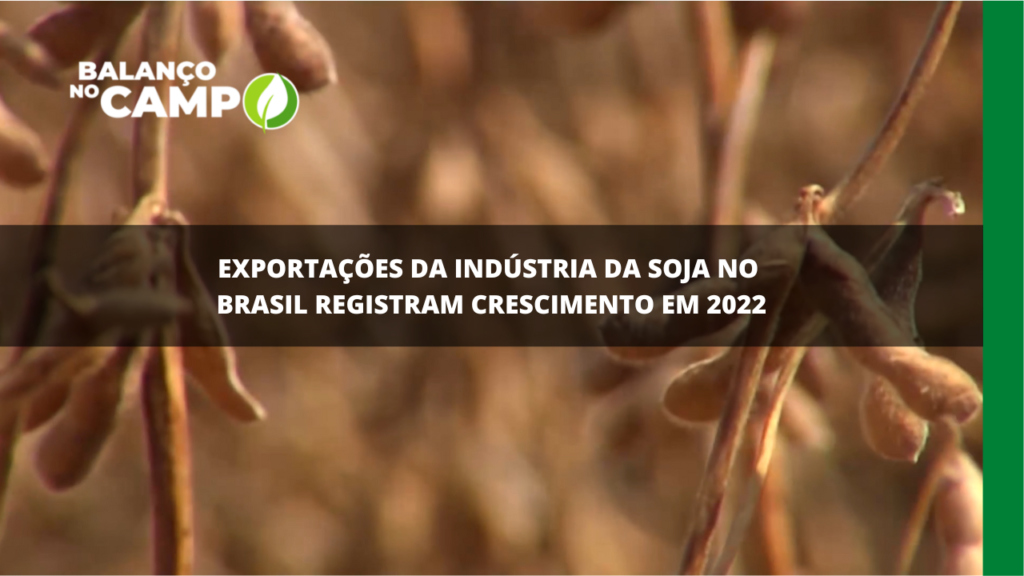 Exportações dos produtos da soja registram crescimento