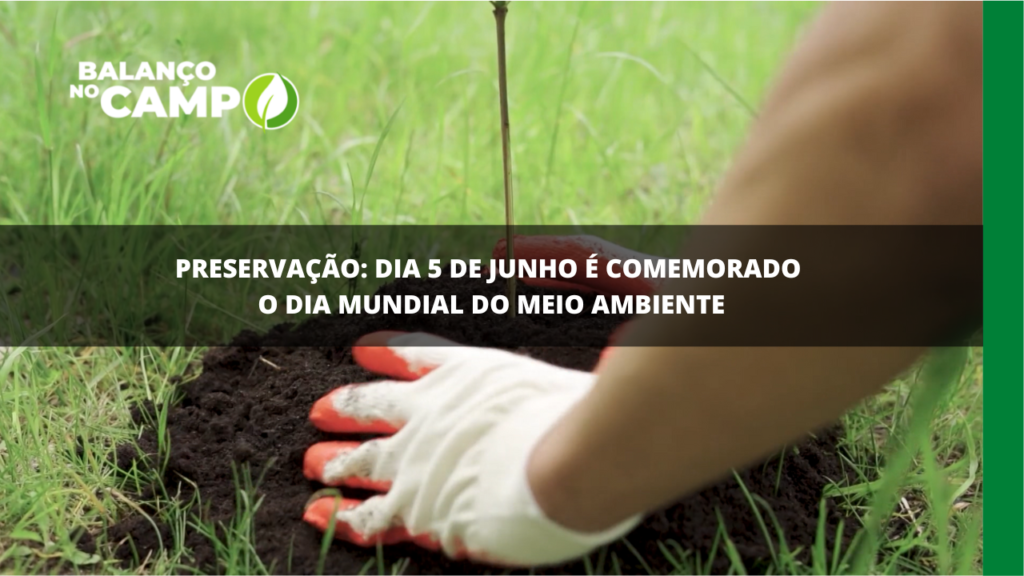 Dia Mundial do Meio Ambiente é comemorado em 5 de junho