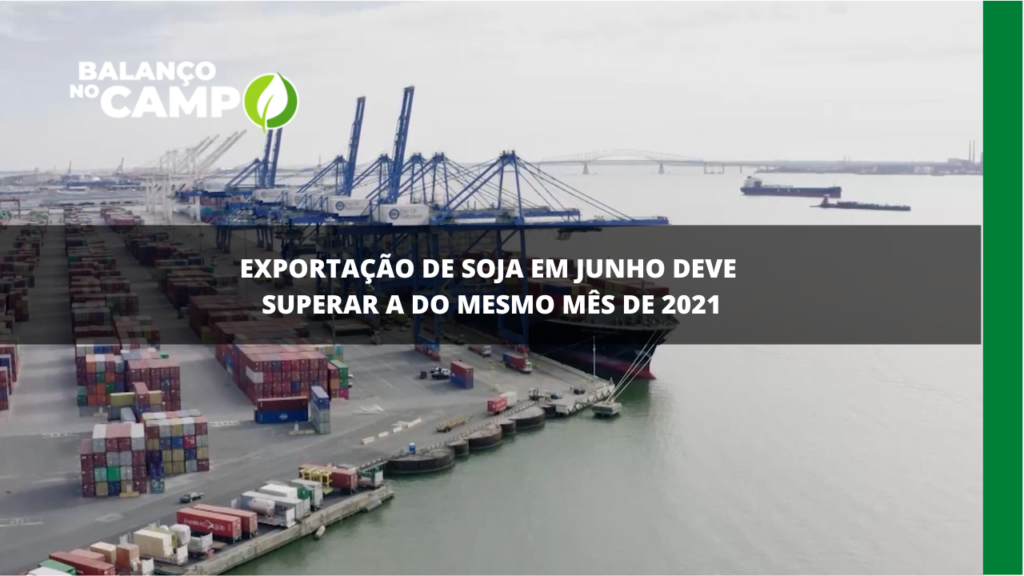 Exportação de soja do Brasil em junho registra aumento