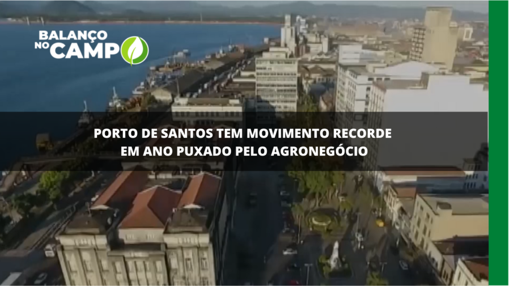 Porto de Santos tem movimento recorde em 2022