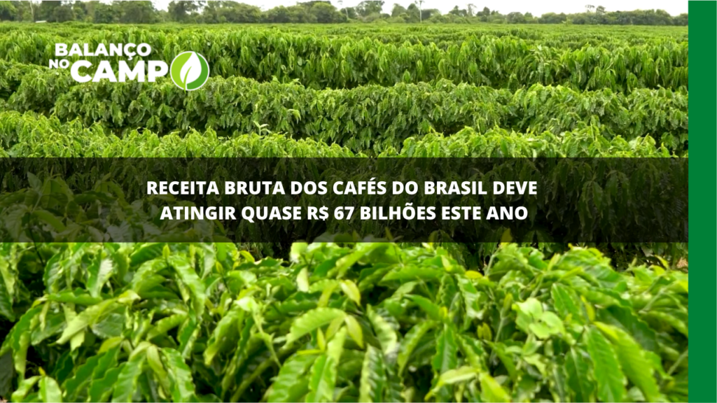 Receita bruta dos cafés do Brasil deve atingir quase R$ 67 bilhões