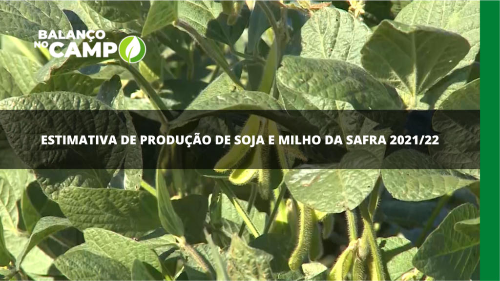 Estimativa de produção de soja e milho da safra 2021/22