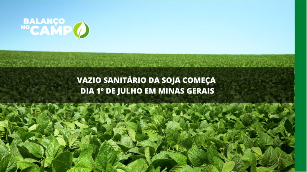 Vazio sanitário da soja começa em Minas Gerais