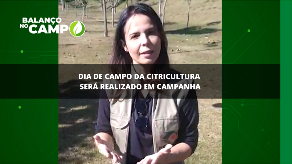 Epamig vai realizar dia de campo da citricultura