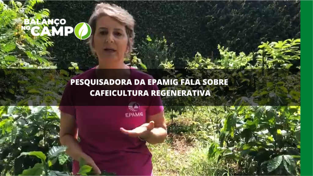 Pesquisadora da Epamig explica sobre a cafeicultura regenerativa