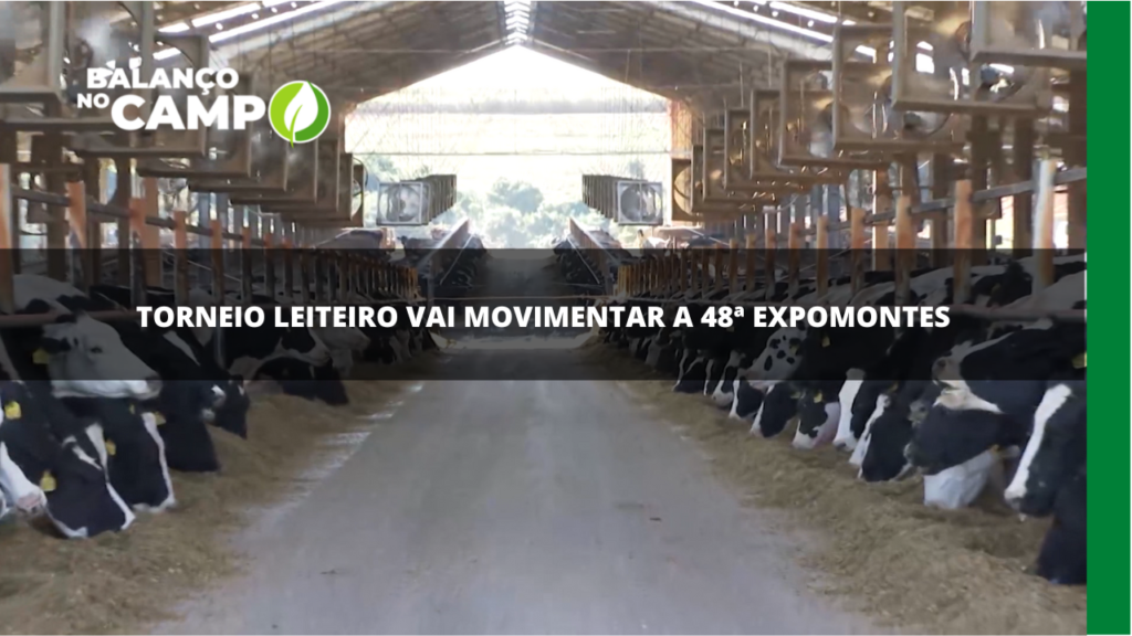 Torneio leiteiro vai movimentar a 48ª Expomontes