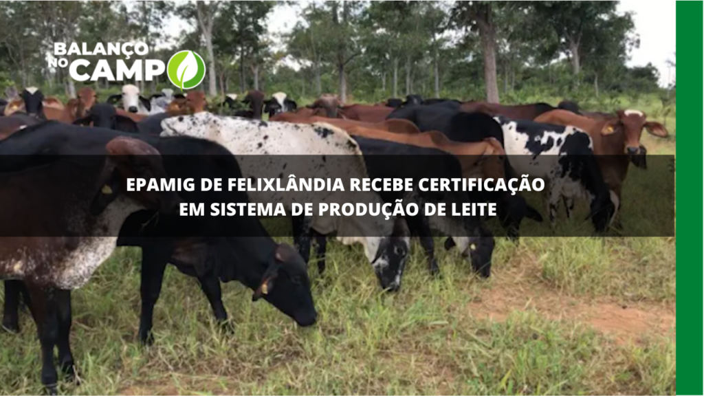 Epamig recebe certificação em sistema de produção de leite