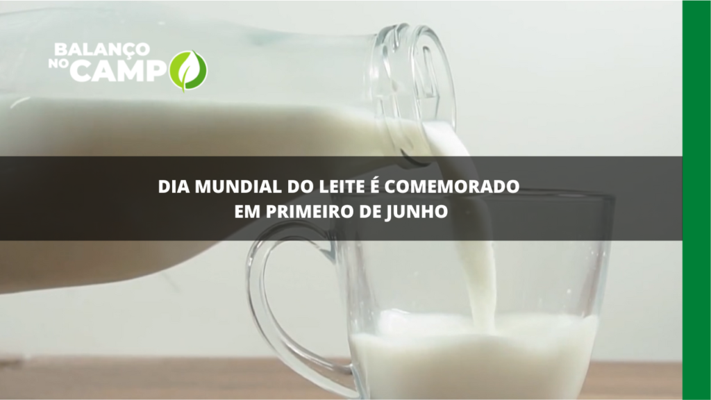 Dia Mundial do Leite é comemorado em primeiro de junho