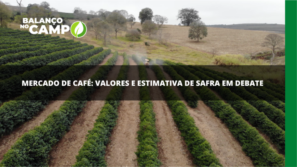 Mercado de café: estimativa de safra em debate