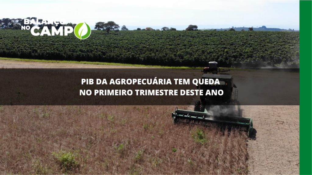 PIB da agropecuária tem queda no primeiro trimestre deste ano