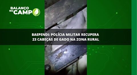 Polícia Militar recupera gado furtado em Baependi